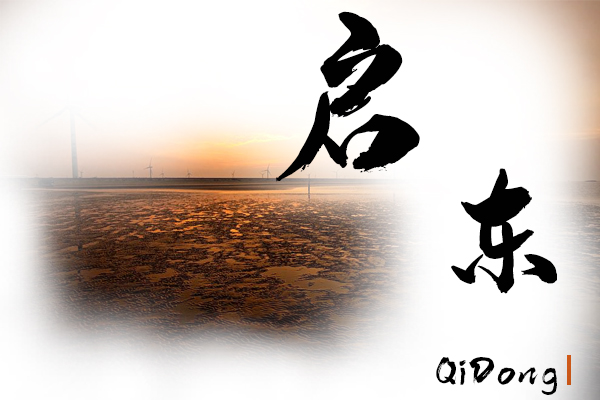 启东小汽车托运物流公司哪家好