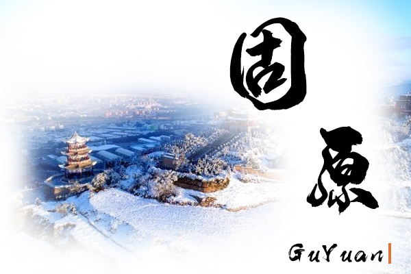 固原小汽车托运物流公司哪家好