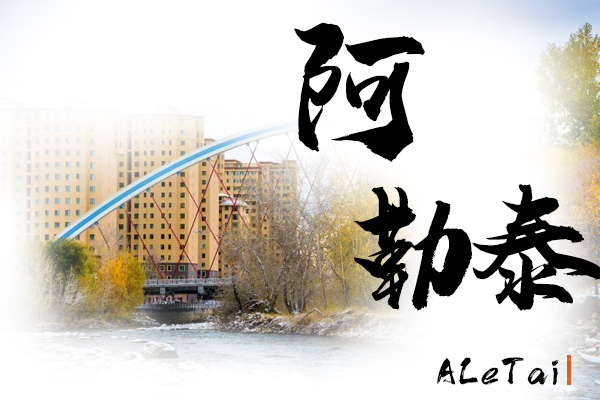 阿勒泰小汽车托运物流公司哪家好