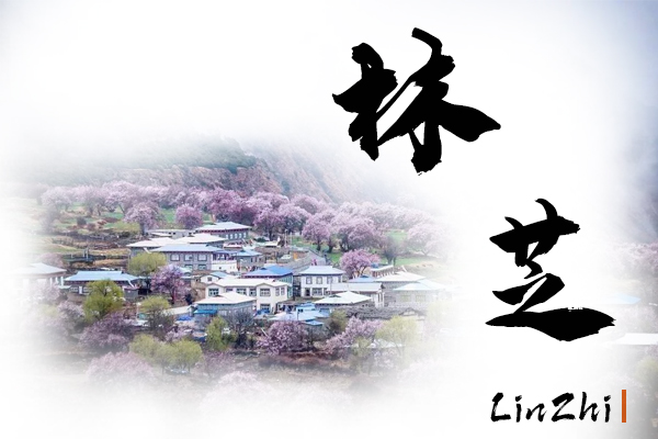 林芝小汽车托运价格及收费标准