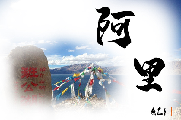 阿里小汽车托运物流公司哪家好
