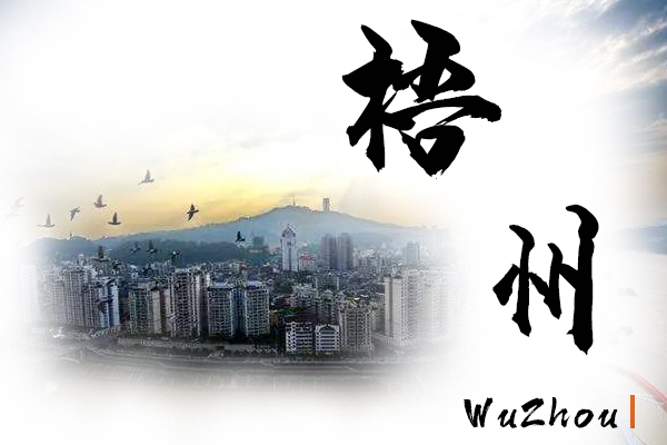 梧州小汽车托运物流公司哪家好