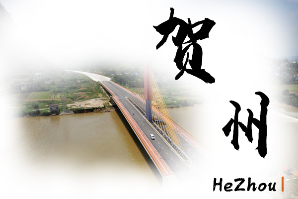 贺州小汽车托运物流公司哪家好