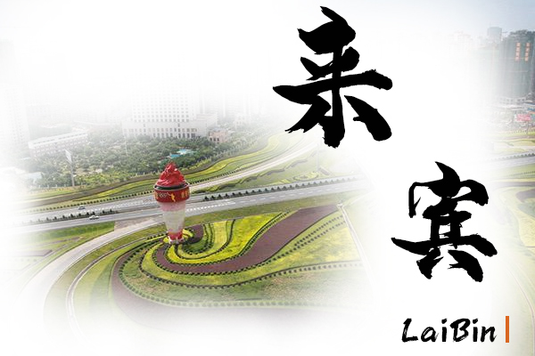 来宾小汽车托运物流公司哪家好