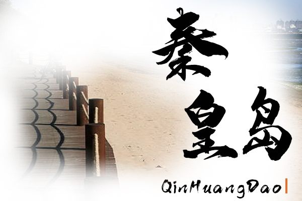 秦皇岛小汽车托运物流公司哪家好