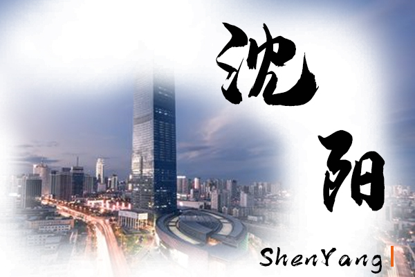 沈阳小汽车托运物流公司哪家好