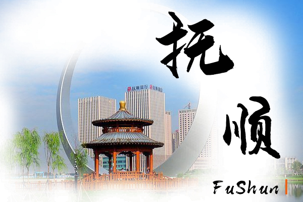抚顺小汽车托运物流公司哪家好