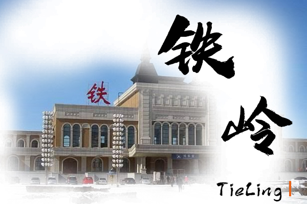 铁岭小汽车托运价格及收费标准