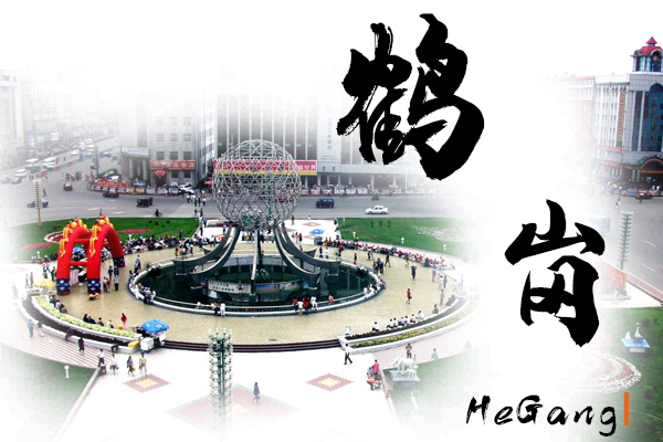 鹤岗小汽车托运价格及收费标准