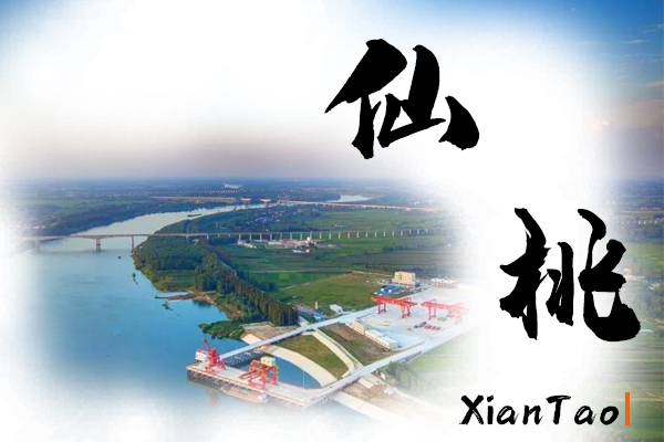 仙桃小汽车托运价格及收费标准