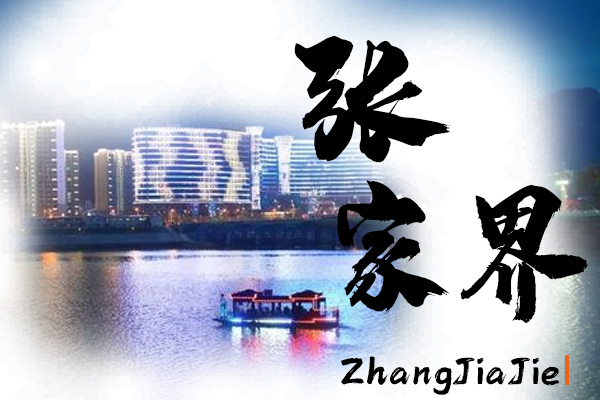 张家界小汽车托运物流公司哪家好