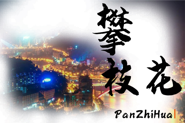 攀枝花小汽车托运价格及收费标准